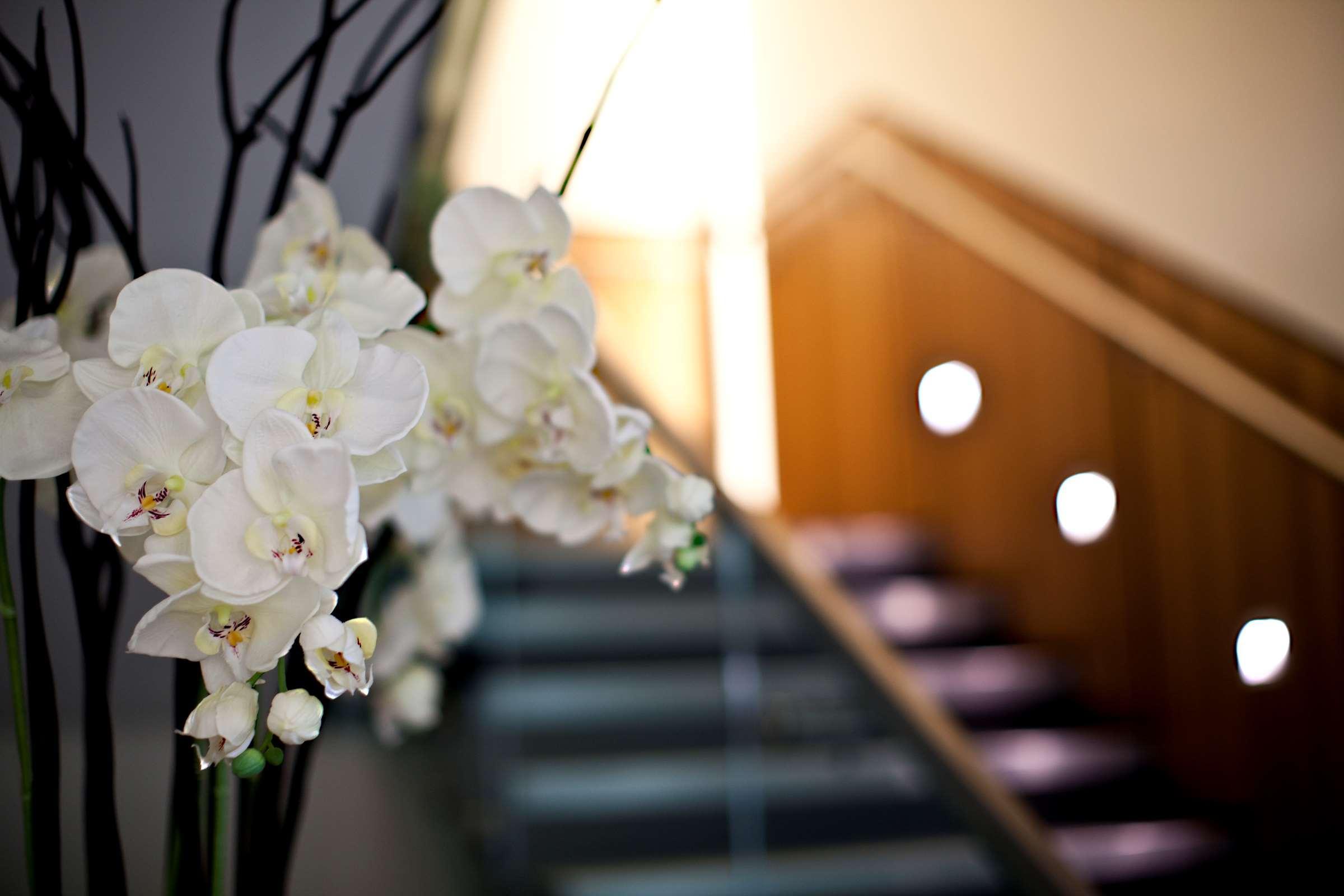 Hilton London Heathrow Airport Terminal 5 Hotel Hillingdon Ngoại thất bức ảnh